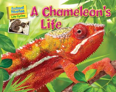A chameleon's life