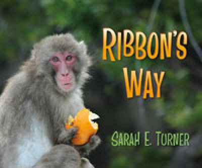 Ribbon's way