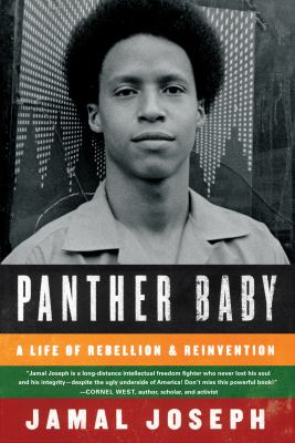 Panther baby : a life of rebellion and reinvention