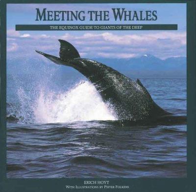 Meeting the whales : the Equinox guide to giants of the deep