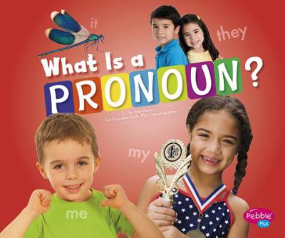 What is a pronoun?