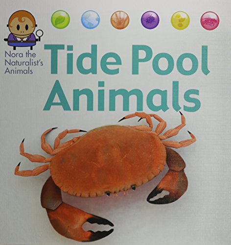 Tide pool animals