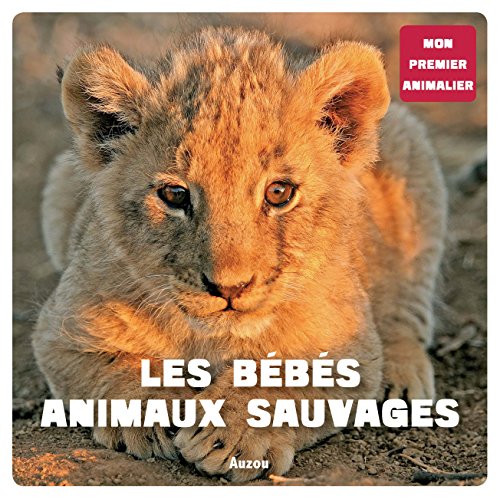 Les bébés animaux sauvages