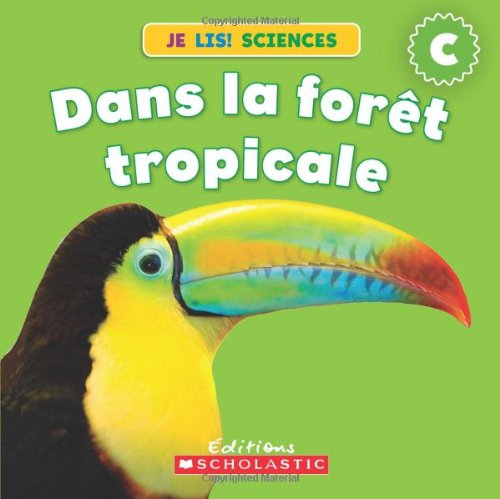 Dans la forêt tropicale