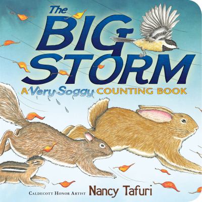 The big storm : a very soggy counting book