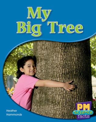 My big tree