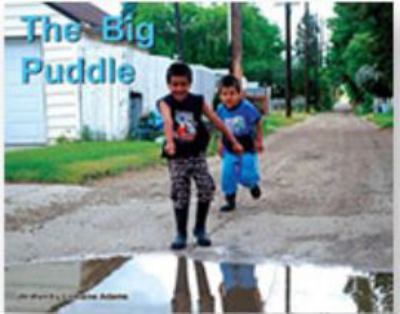 The big puddle