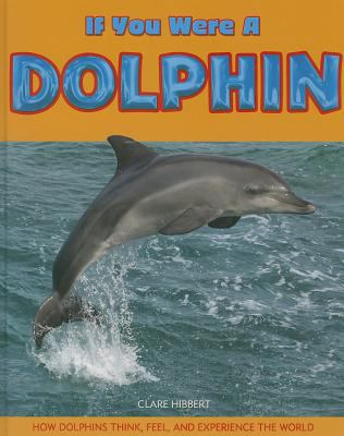 If you were a dolphin