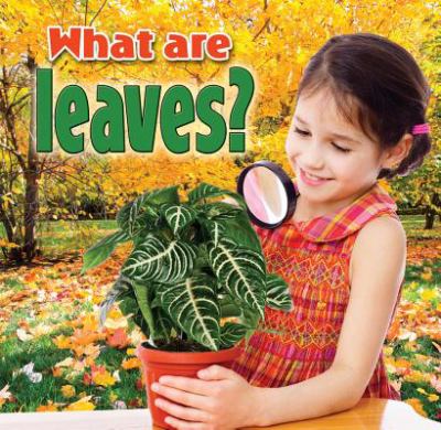 What are leaves?