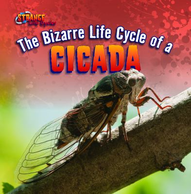 The bizarre life cycle of a cicada