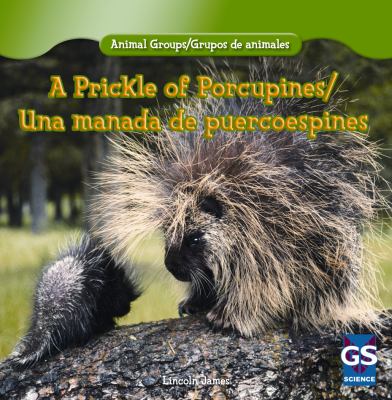 A prickle of porcupines