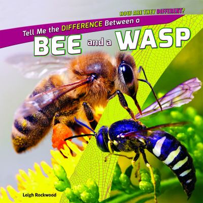 Tell me the difference between a bee and a wasp