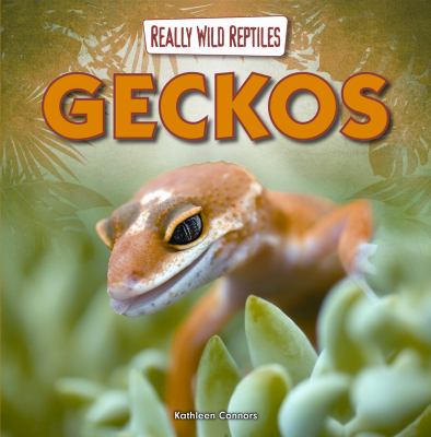 Geckos