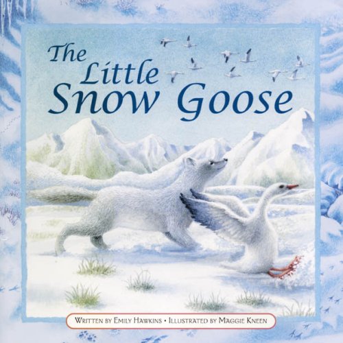 The little snow goose