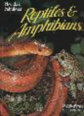 Florida's fabulous reptiles & amphibians : snakes, lizards, alligators, frogs, and turtles