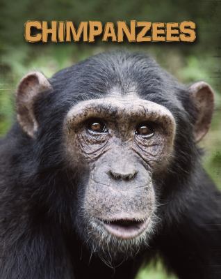 Chimpanzees