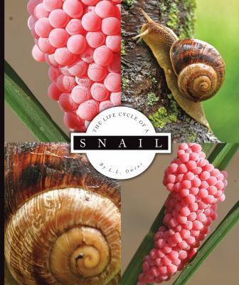 The life cycle of a snail