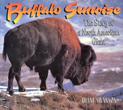 Buffalo sunrise : the story of a North American giant