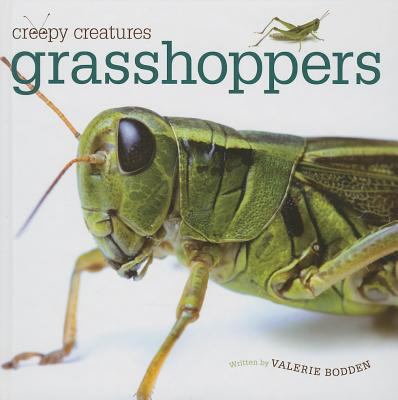 Grasshoppers