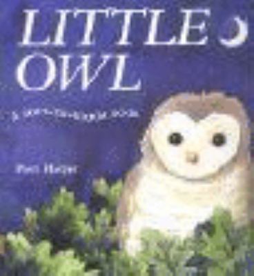 Little owl : a soft-to-touch book