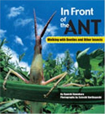 In front of the ant : walking with beetles and other insects