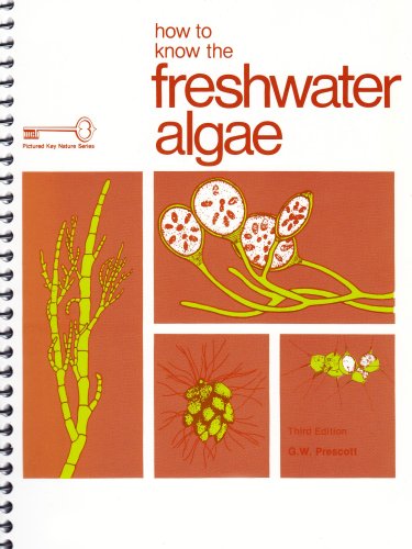 How to know the freshwater algae