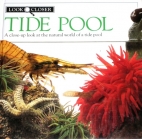 Tide pool