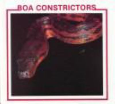 Boa constrictors