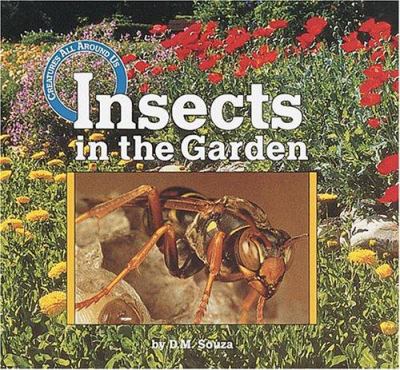Insects in the garden