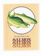 The salmon