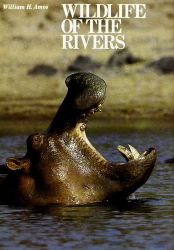 Wildlife of the rivers