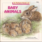 A picture book of baby animals