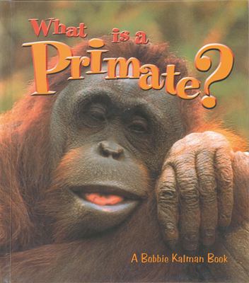 What is a primate?