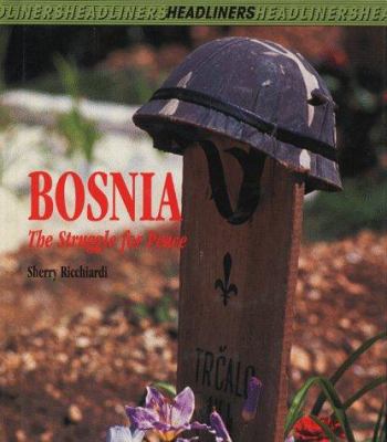 Bosnia : the struggle for peace