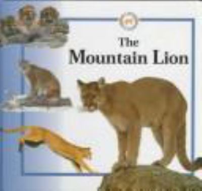 The mountain lion