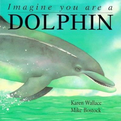 Imagine you are a dolphin