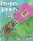 Insects and spiders