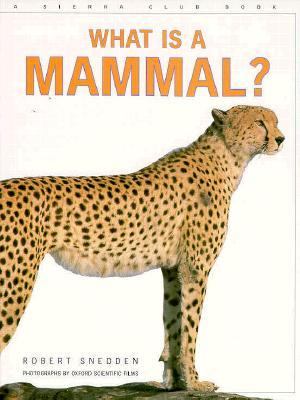 What is a mammal?