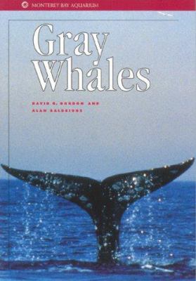 Gray whales