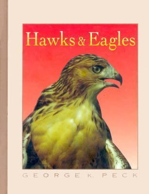 Hawks and eagles