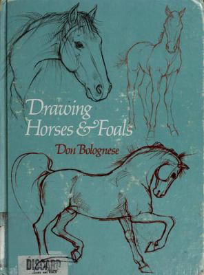 Drawing horses and foals