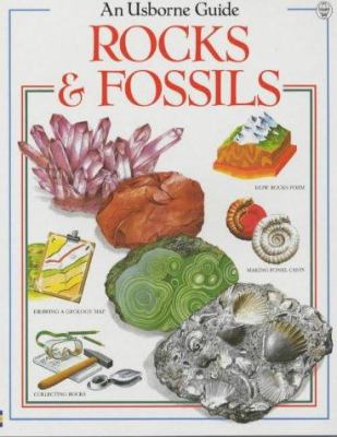 Rocks & fossils