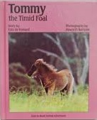 Tommy, the timid foal