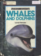 Whales and dolphins