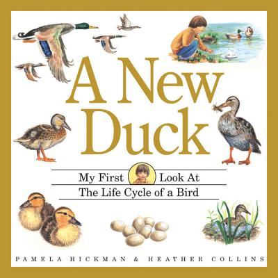 A new duck : my first look at the life cycle of a bird