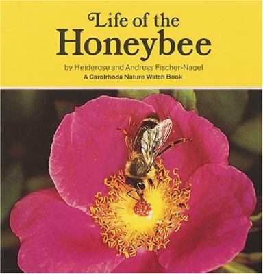 Life of the honeybee