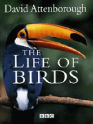 The life of birds