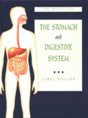 The stomach and digestive system