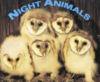 Night animals