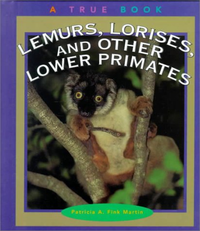 Lemurs, lorises, and other lower primates